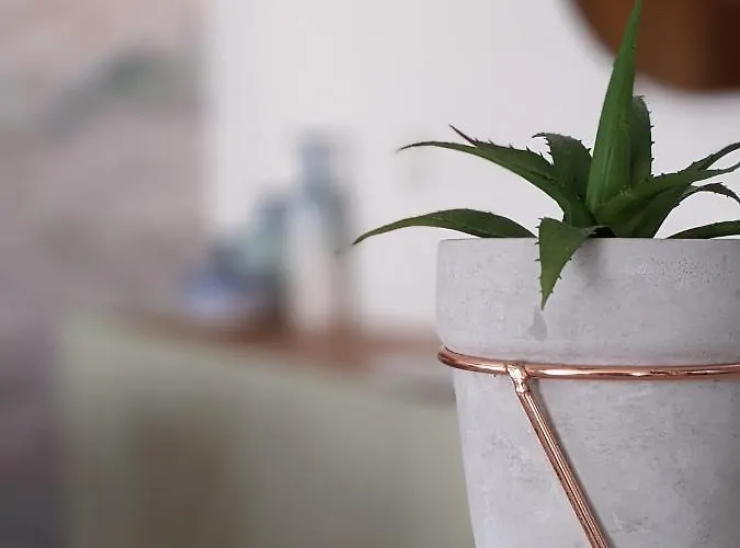 Apartamento Duplex By The *